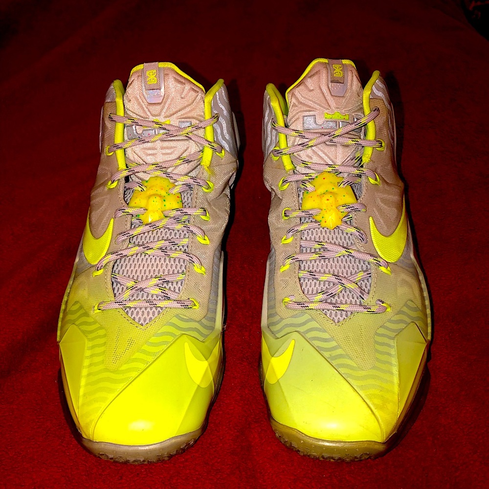 Nike, Lebron James XI 11, | Size: 10